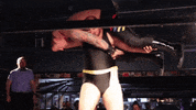 Wpw Uncensored GIF by SHWAperth