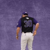 Baseball Wesleyan GIF by KWC Panthers