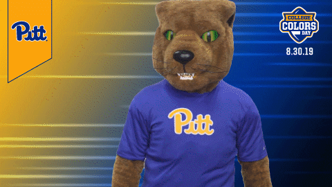 College Sports Mascots GIF by College Colors Day