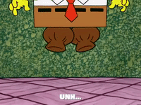 season 5 GIF by SpongeBob SquarePants