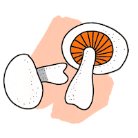 pirezbonappetit mushroom pirez Sticker