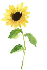 Happy Flower Sticker by compo