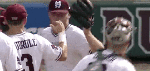 Notre Dame Baseball GIF by NCAA Championships