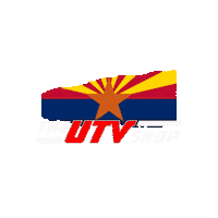 Racing Flag Sticker by The UTV Shop