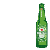 Beer Drink Up Sticker by Heineken