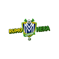 Football Copa Sticker by Seguros MM