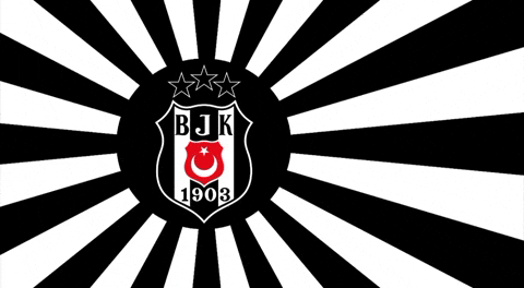 Besiktas GIF