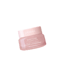 Pink Beauty Sticker by Laneige US