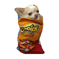 cheetos STICKER by imoji