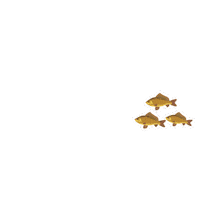 ADMNutricaoAnimal total presence pecuaria adm Sticker