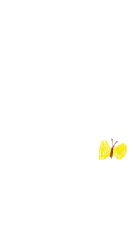 Butterfly Sticker
