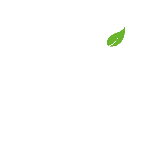 jobsuche physiotherapie