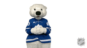 Ice Hockey Yes GIF by NHL
