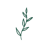 Cassievoncat nature green plant simple Sticker