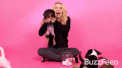 Kate Mckinnon Puppy Interview GIF by BuzzFeed