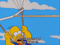 parasailing homer simpson GIF