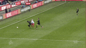 1 Fc Cologne Football GIF by 1. FC Köln