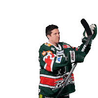 Hockey Celebrating Sticker by Augsburger Panther Eishockey GmbH