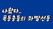 배급견 GIF