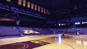 goldythegopher minnesota big ten b1g Gophers GIF