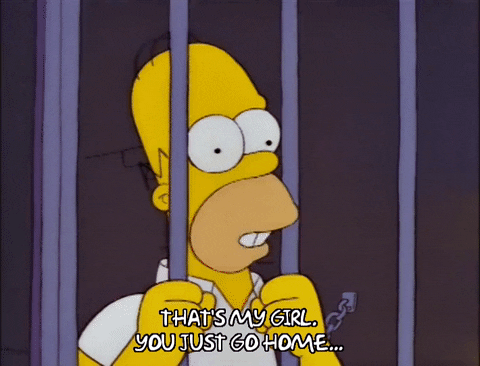 homer simpson GIF