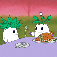 Make A Wish Friends GIF by Magic Eden