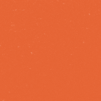 Rit Tigers Art GIF by Rochester Institute of Technology