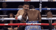 espn fighting GIF by Top Rank Boxing