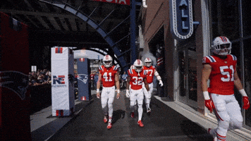 Football Nfl GIF by New England Patriots