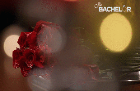 Thebachelor GIF by The Bachelor Australia