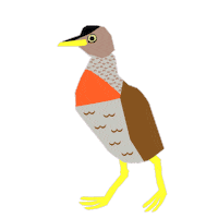 delwp_vic plains wanderer nature festival delwp naturefestival Sticker