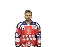 Hockey Stloukal Sticker by dsc-eishockey