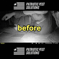 Ppsteam GIF by Patriotic Pest Solutions