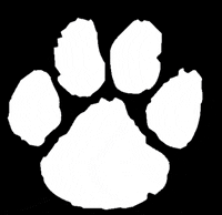 DallastownAreaSchoolDistrict dasd wildcat dtown wildcatnation GIF
