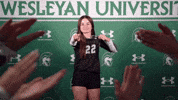Iwuwvb24 GIF by iwusports