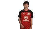 Bayer Leverkusen Esports Sticker by Bundesliga