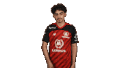 Bayer Leverkusen Esports Sticker by Bundesliga