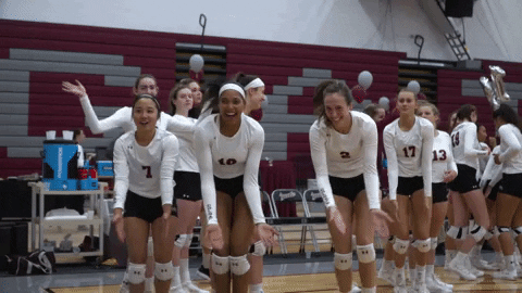 Volleyball GIF by Colgate Athletics