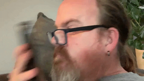 andrewdoughtyfee7 facemash face mash GIF