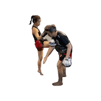 Muay Thai Knee Sticker by Eminent Air Muay Thai Singapore