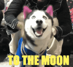 swagrman giphygifmaker coin to the moon crypto meme GIF