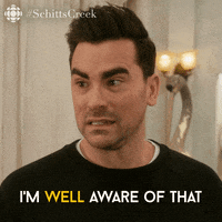 Schitt's Creek gif. Dan Levy as David cringes and turns his head as he says, "I'm well aware of that."