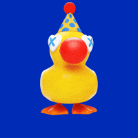 Duck Rotating GIF