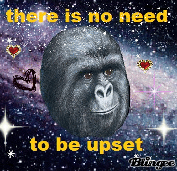 there is no need to be upset GIF