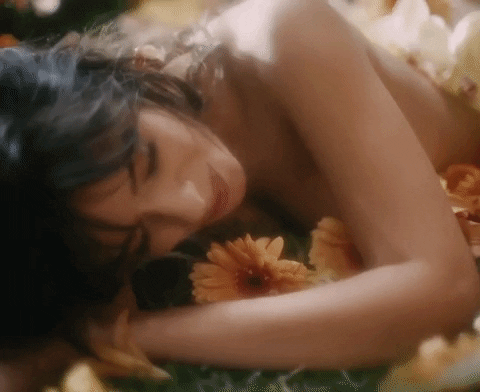 Living Proof GIF by Camila Cabello