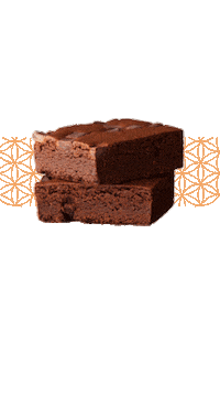 Brownieinclusivo Sticker by browniedare