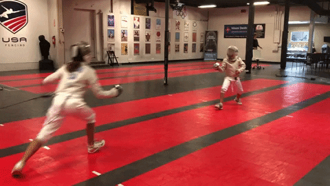 bsmallsSesame giphygifmaker fencing GIF