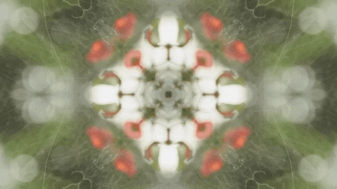 Art Love GIF by jorgemariozuleta