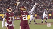 Washington Football Team GIF by NFL