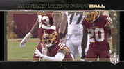 Washington Football Team GIF by NFL